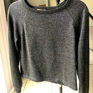 Metallic silver and black sweater